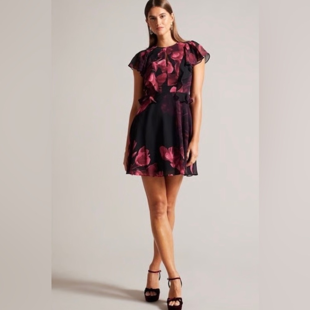 Ted Baker London Bretaah mini dress. Size Ted 1 (4 U.S.) - Picture 1 of 8